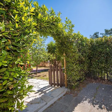 Relax In Toscana Con Piscina Tatil Evi