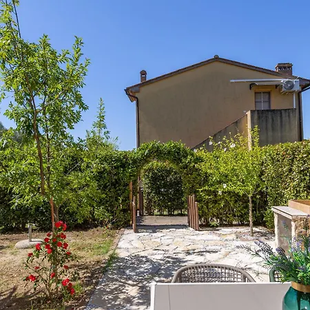 Relax In Toscana Con Piscina E Pet