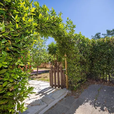 Relax In Toscana Con Piscina E Pet Vakantiehuis